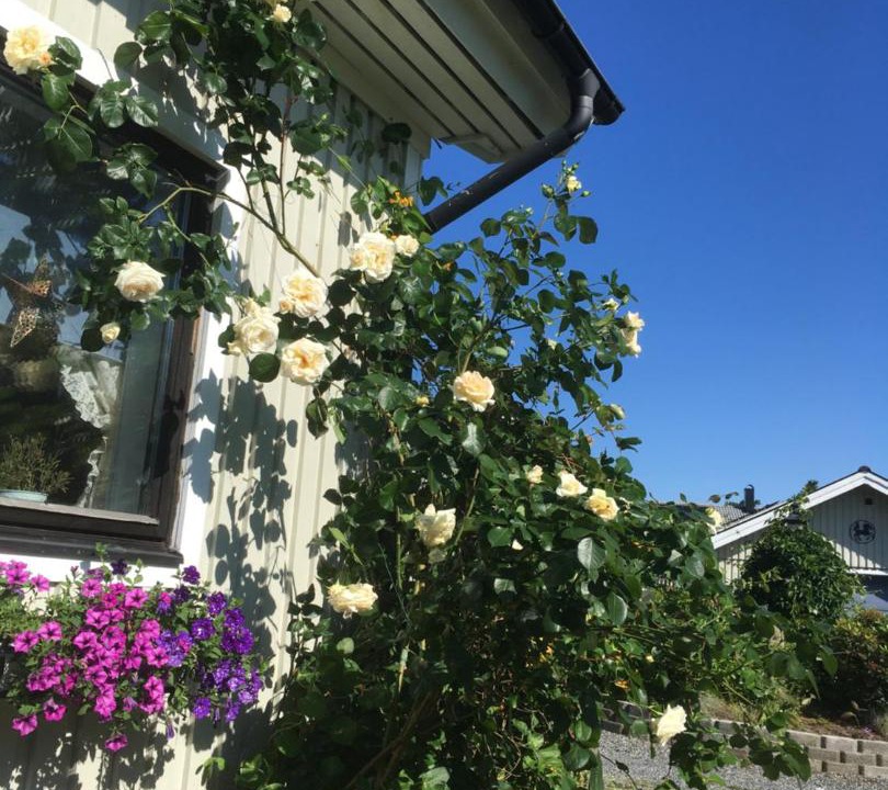 Photo of Others in Olofstorp