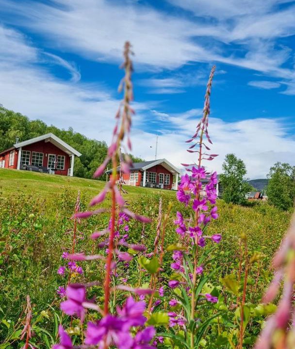 Photo of Others in Finnmark