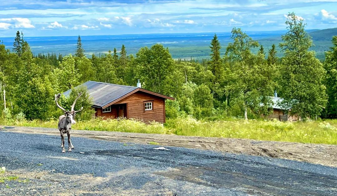 Photo of Others in Fjallhalsen