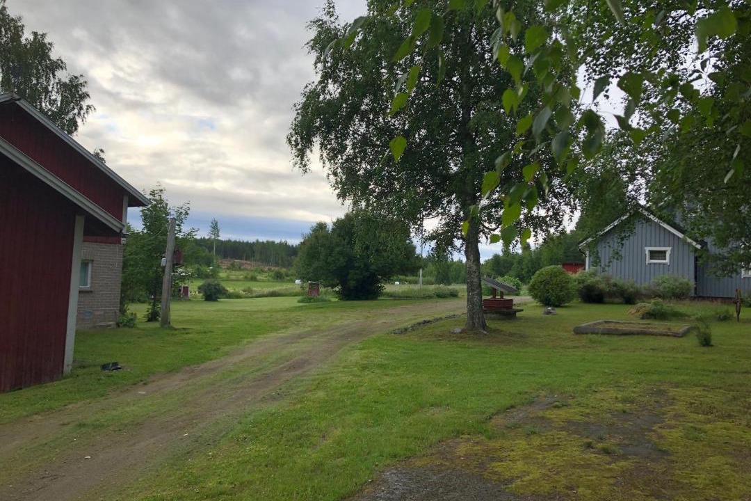 Photo of Others in Viitasaari