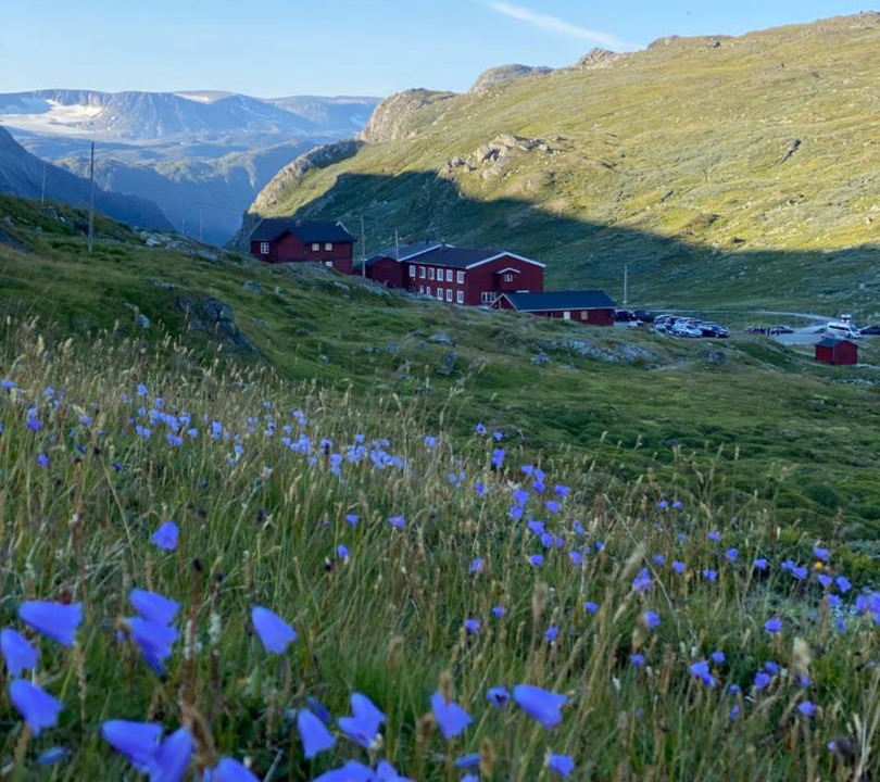 Photo of Others in Boverdalen