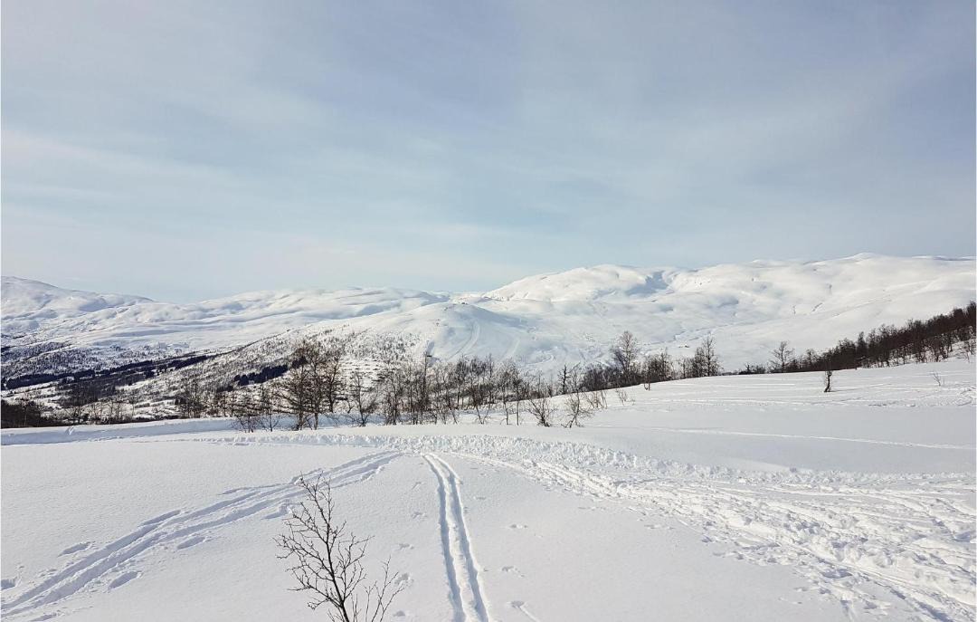 Photo of Others in Myrkdalen