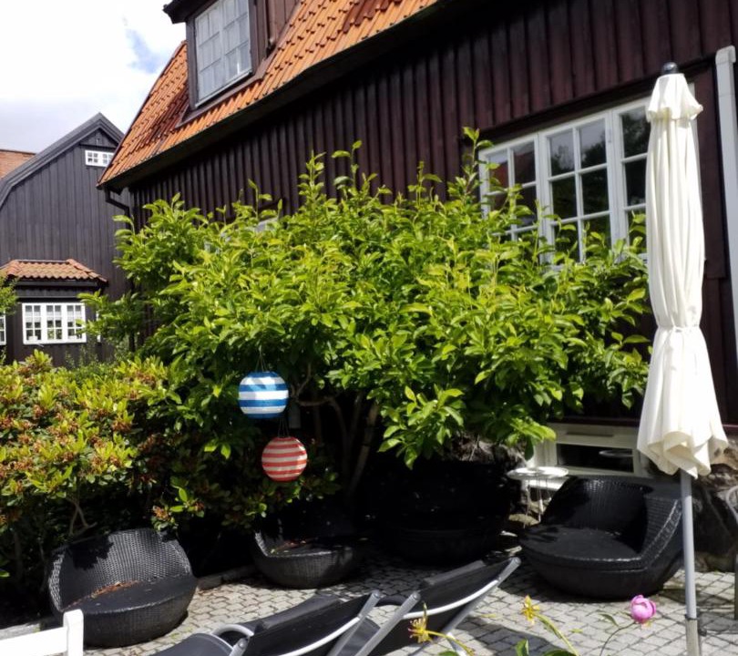 Photo of Patio Balcony in Centrum