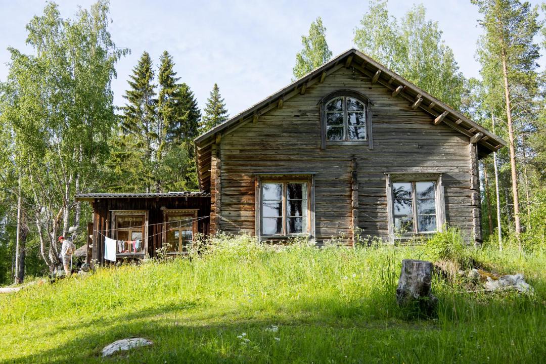 Photo of Others in Koli National Park