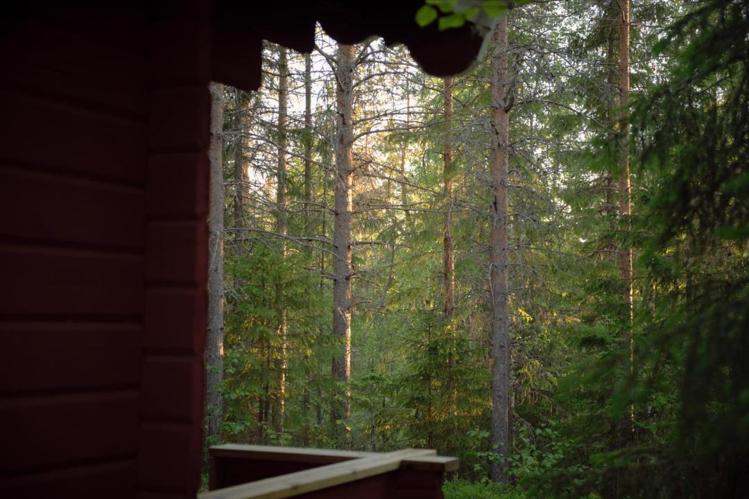 Photo of Others in Lapptrask