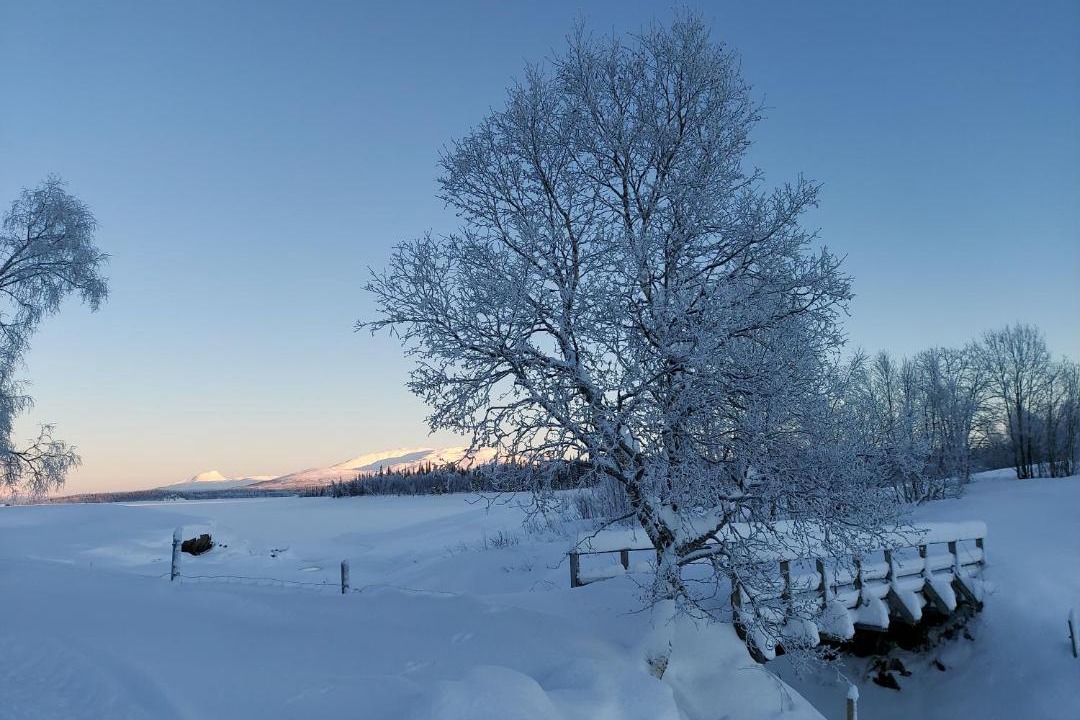 Photo of Others in Hattfjelldal