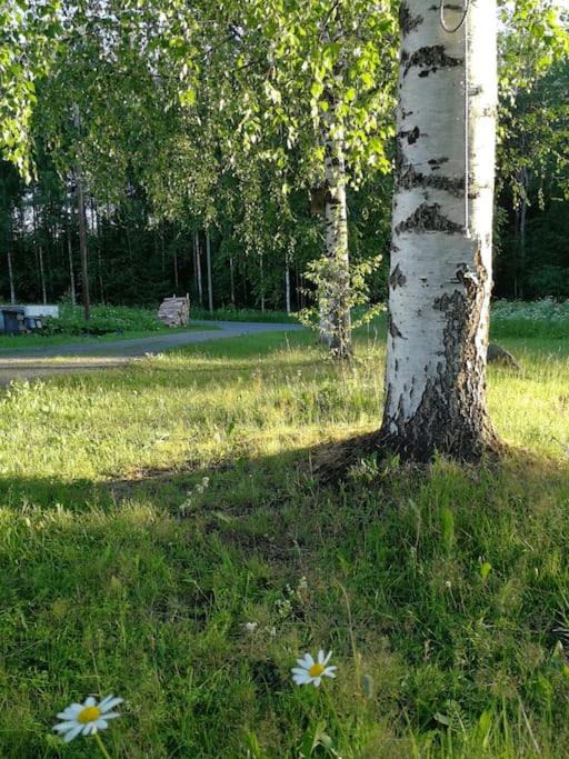 Photo of Others in Rantasalmi