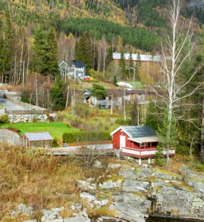 Photo of Others in Gol