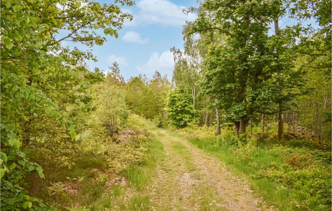 Photo of Others in Olofstrom