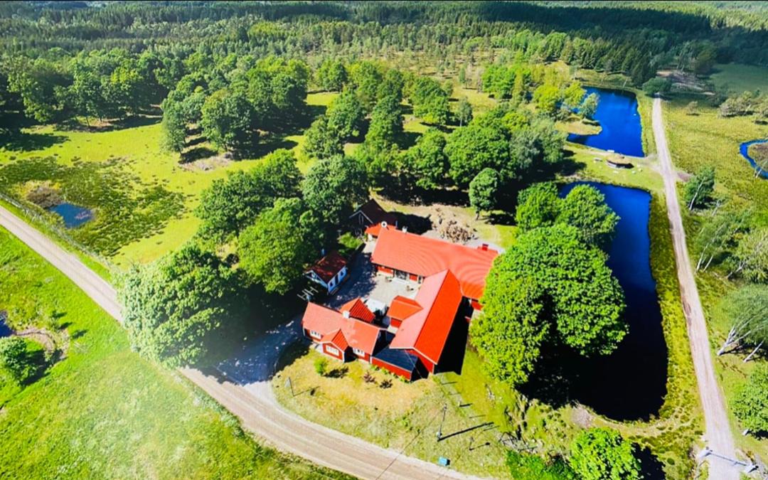 Photo of Others in Laholm