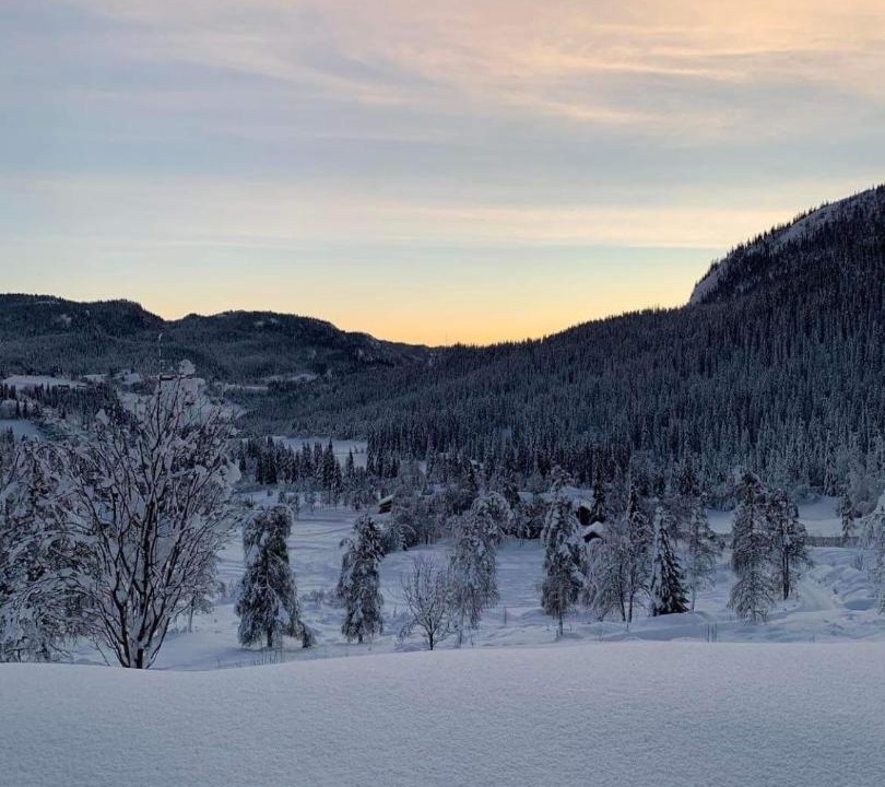 Photo of Others in Seljord
