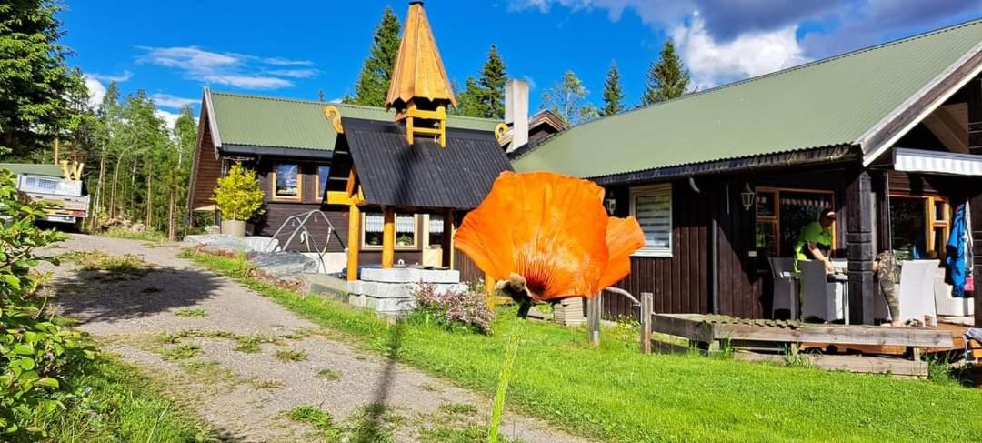 Photo of Buildings in Gran
