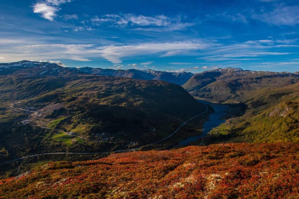 Photo of Others in Sogndal