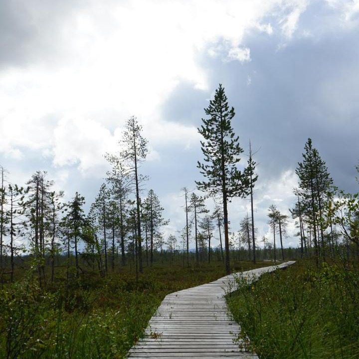 Photo of Others in Lampivaara