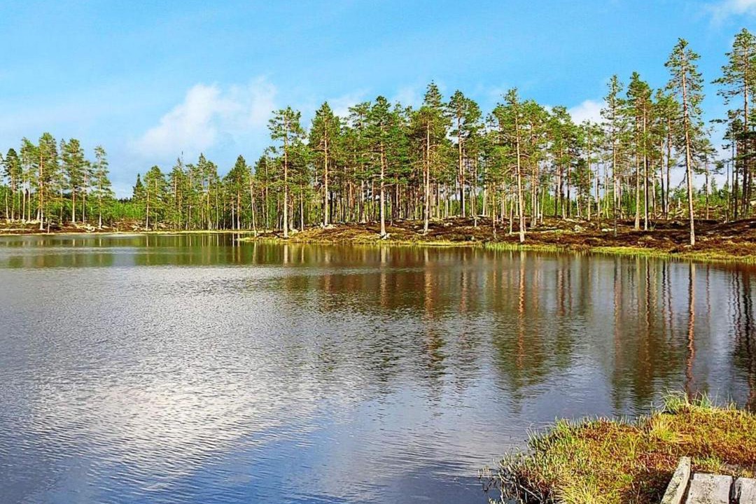 Photo of Outdoor in Transtrand