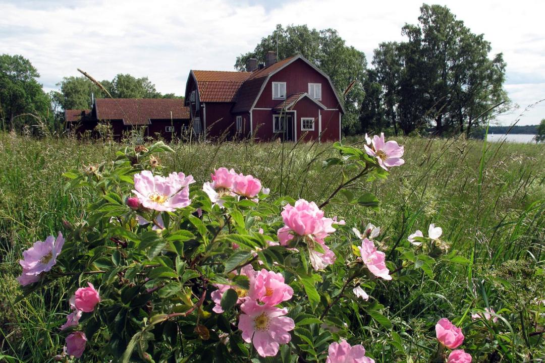 Photo of Others in Norrtalje Municipality