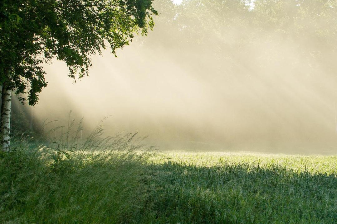 Photo of Others in Vretstorp