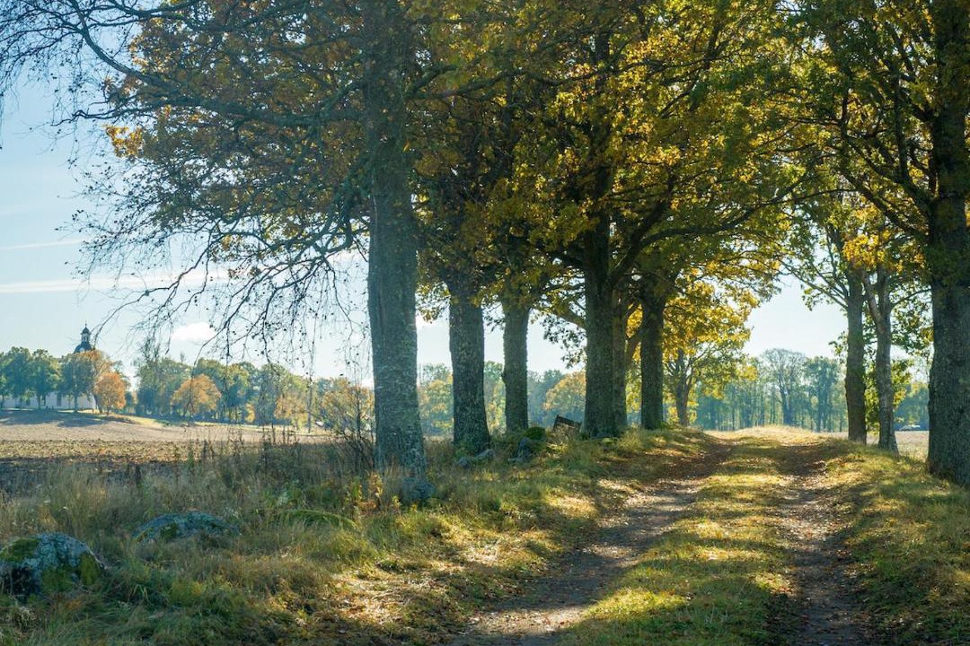 Photo of Others in Vretstorp