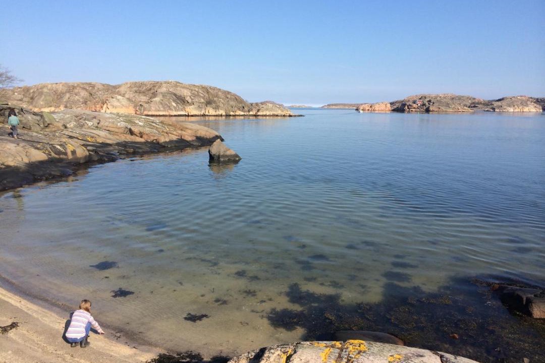 Photo of Others in Hamburgsund