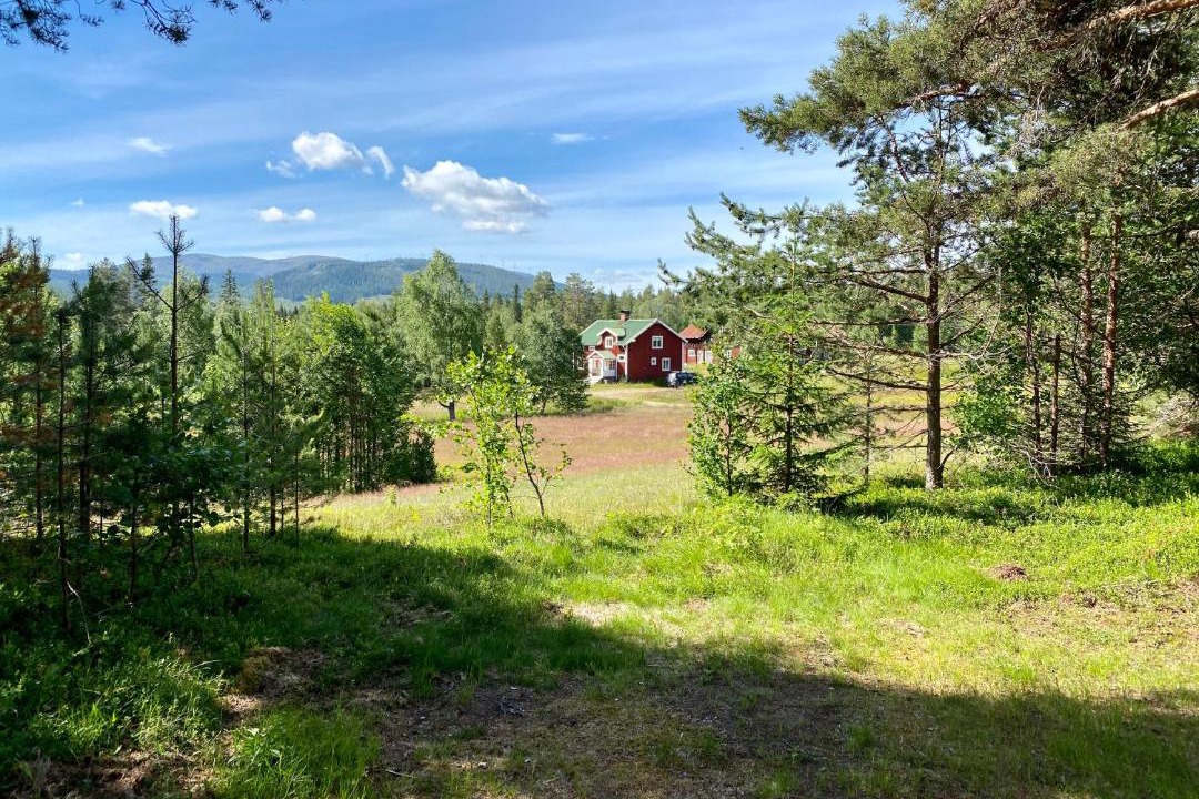 Photo of Others in Jomtland