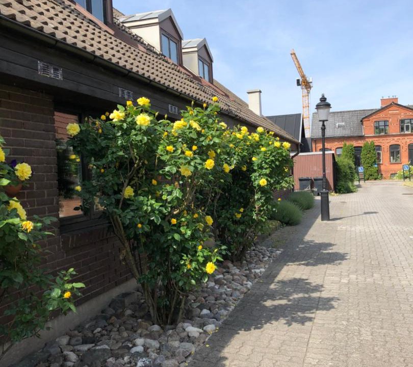 Photo of Others in Innerstaden