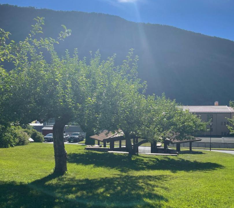 Photo of Others in Sogndal