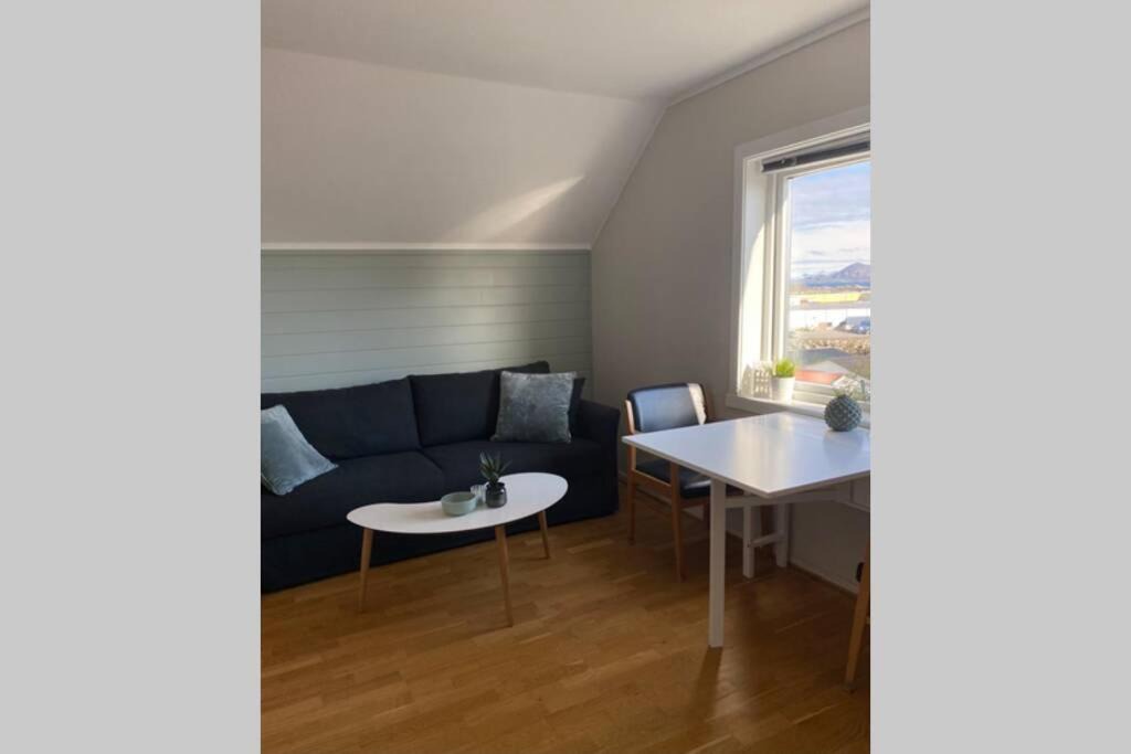 Photo of Others in Svolvaer