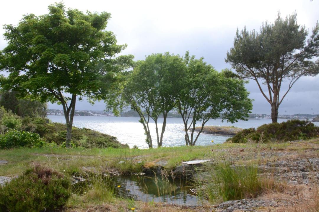 Photo of Others in Stavanger