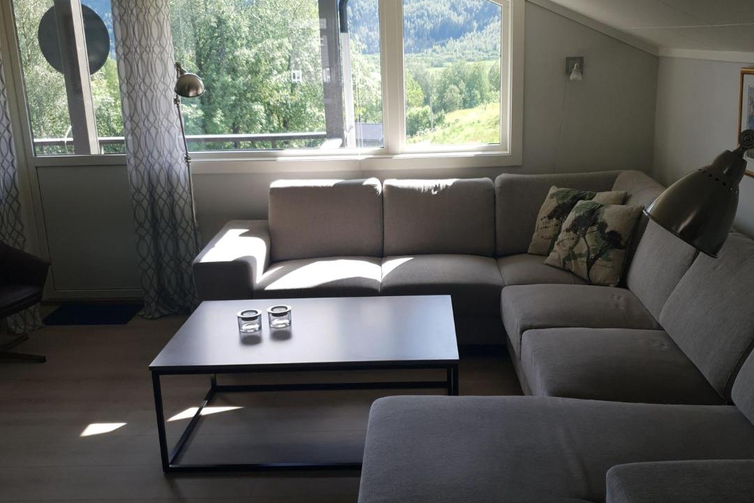 Photo of Livingroom in Myrkdalen
