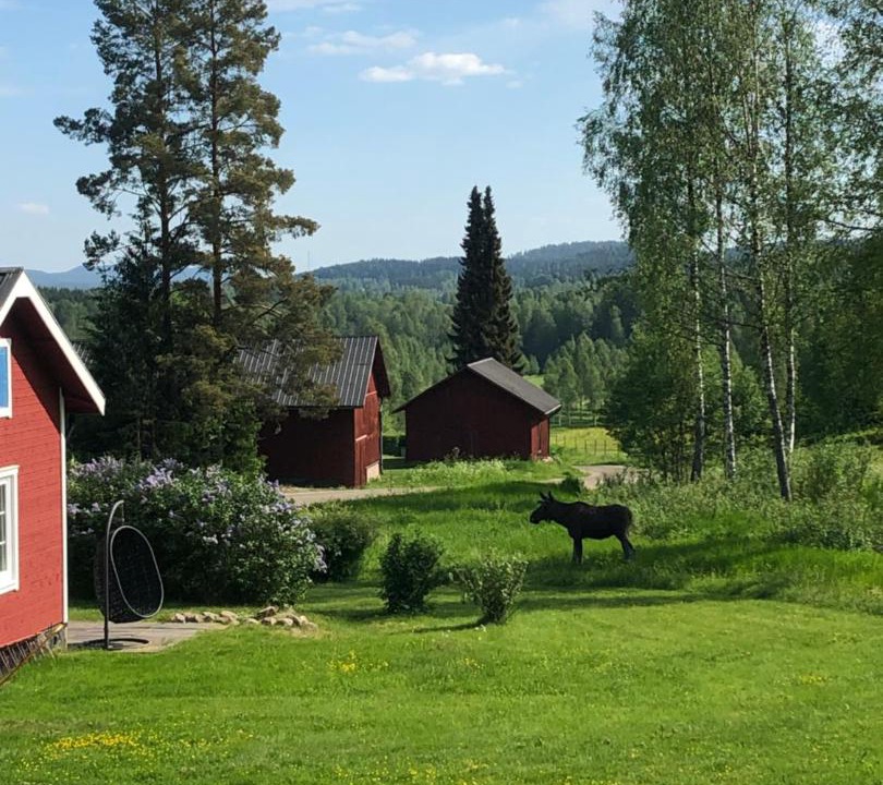 Photo of Others in Overbyn