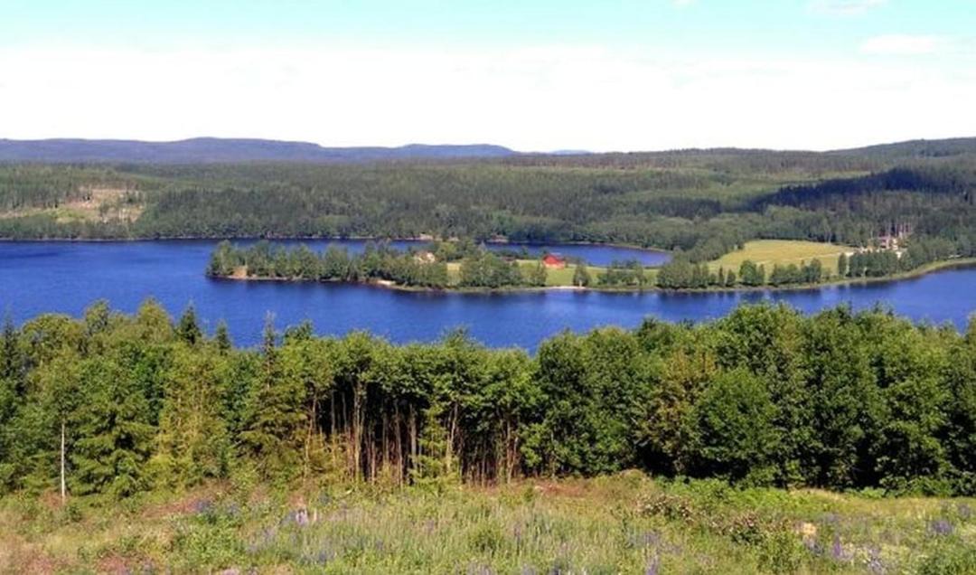 Photo of Others in Brasstorp