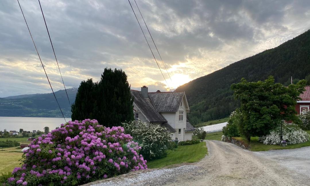 Photo of Others in Innvik