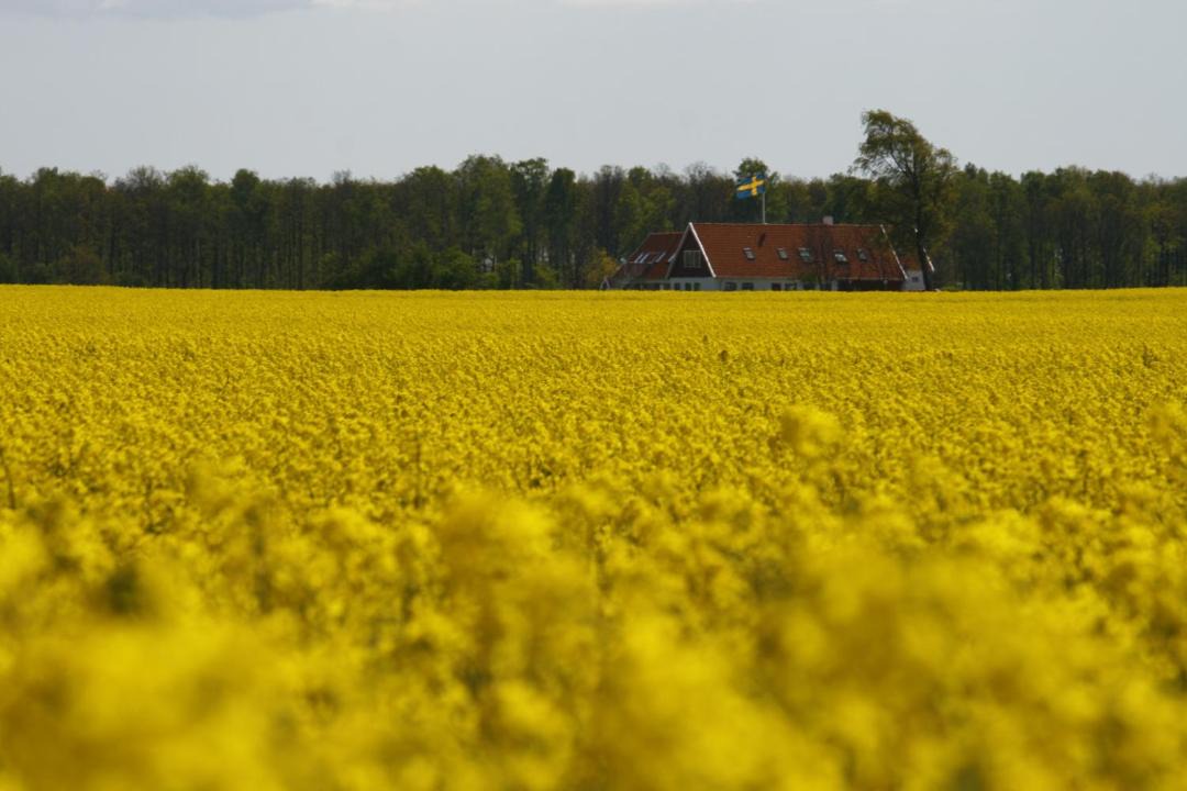 Photo of Others in Lund