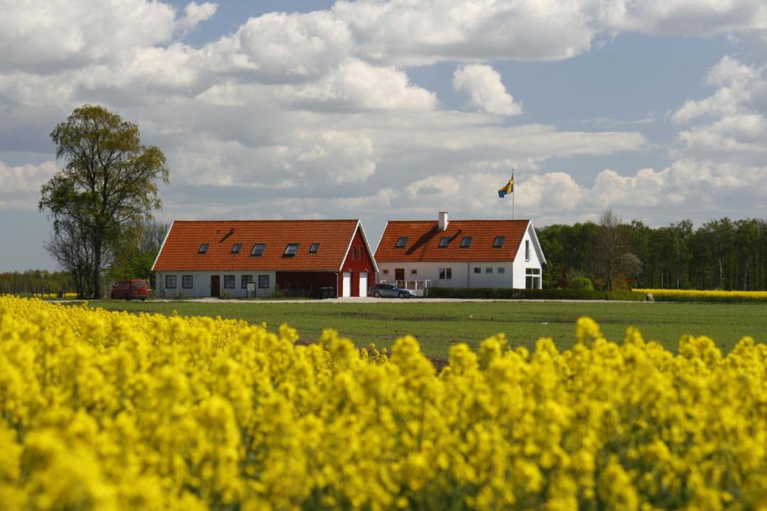 Photo of Others in Lund