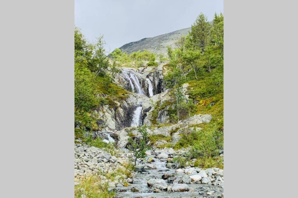 Photo of Others in Hemsedal