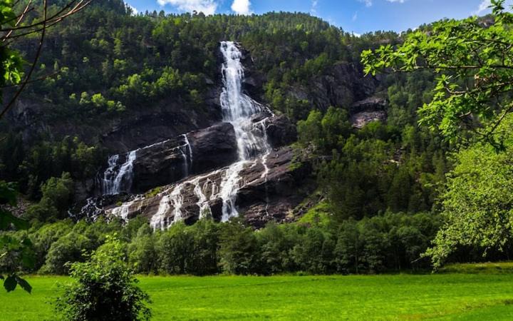Photo of Others in Odda