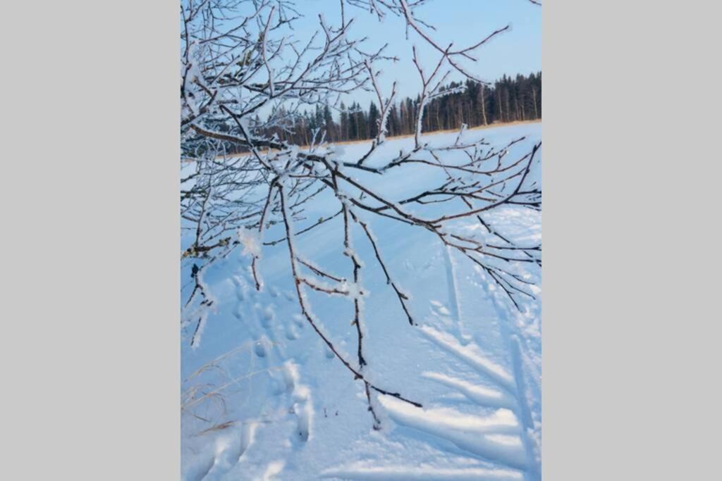Photo of Others in Vesilahti