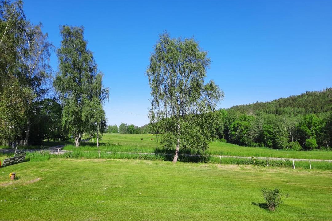 Photo of Others in Vargon