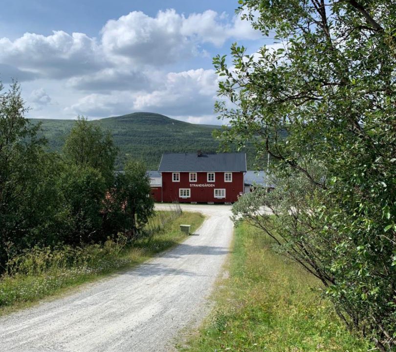 Photo of Others in Fjallnas