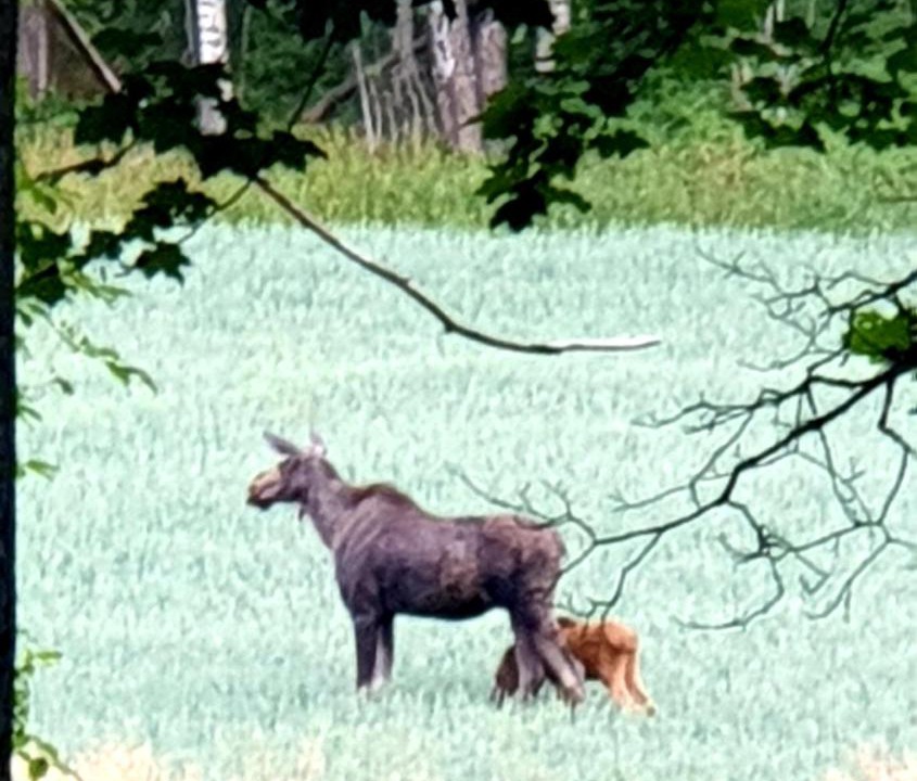 Photo of Others in Kirkkonummi