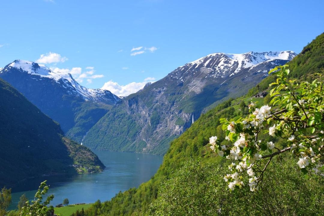 Photo of Others in Geiranger