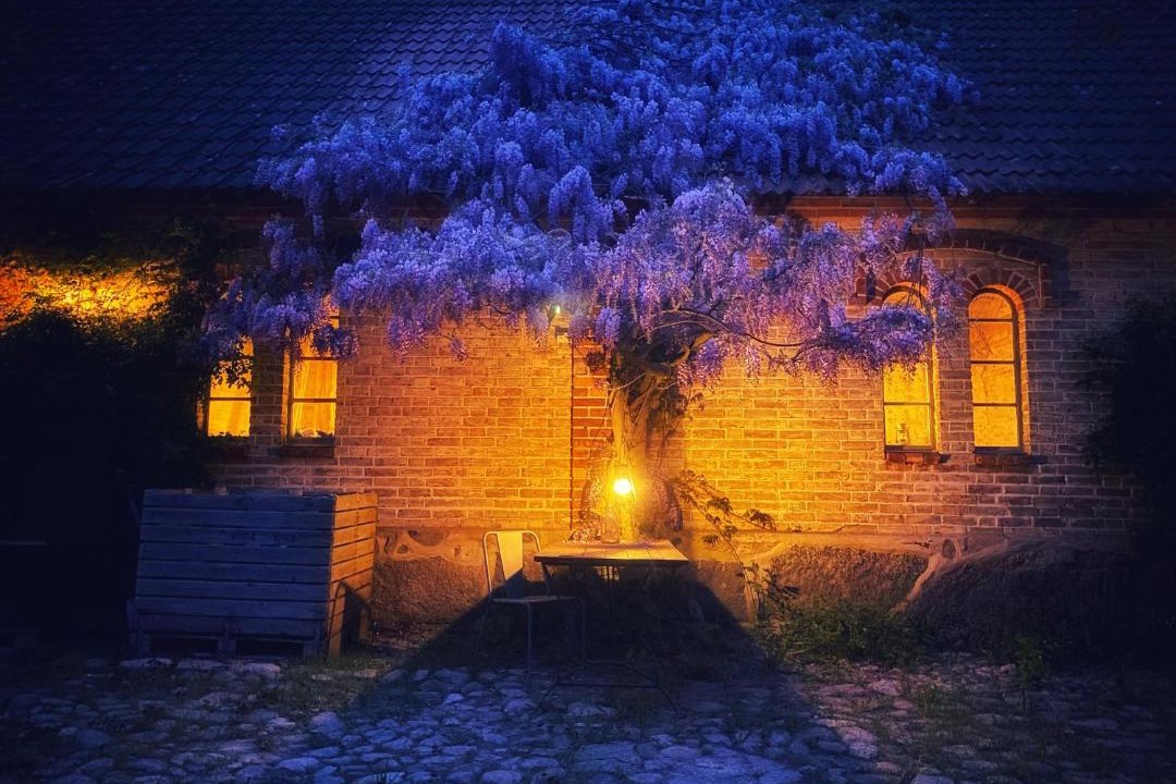 Photo of Others in Kivik