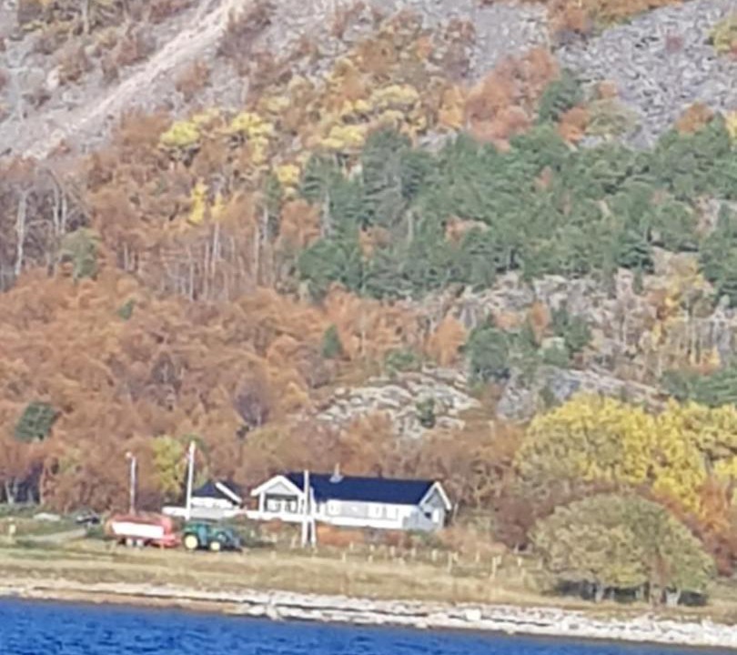Photo of Others in Tjeldsund
