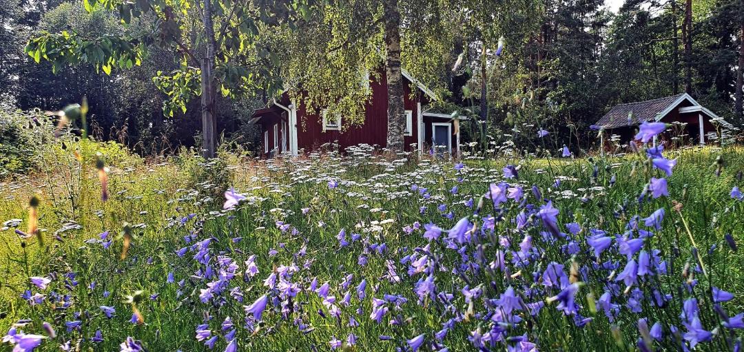 Photo of Others in Kristinehamn