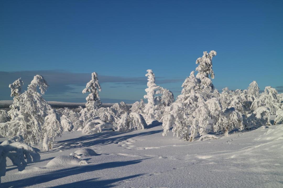Photo of Others in Syote