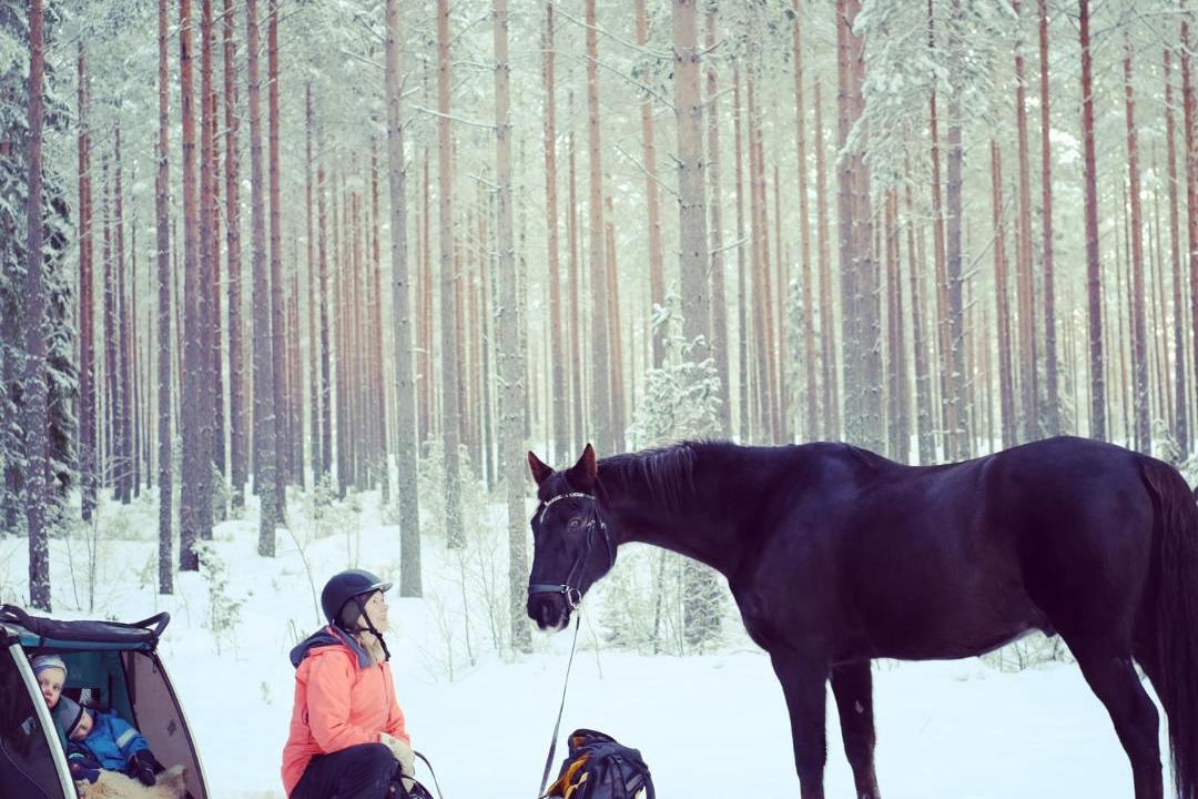 Photo of Others in Horndal