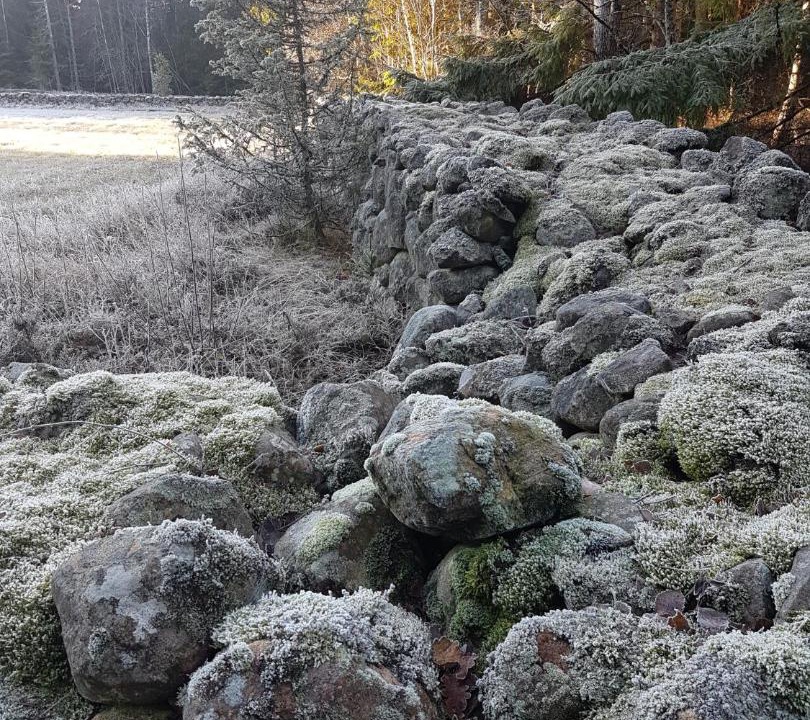 Photo of Others in Mariestad