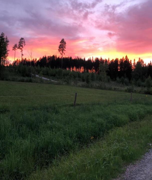 Photo of Others in Torsby