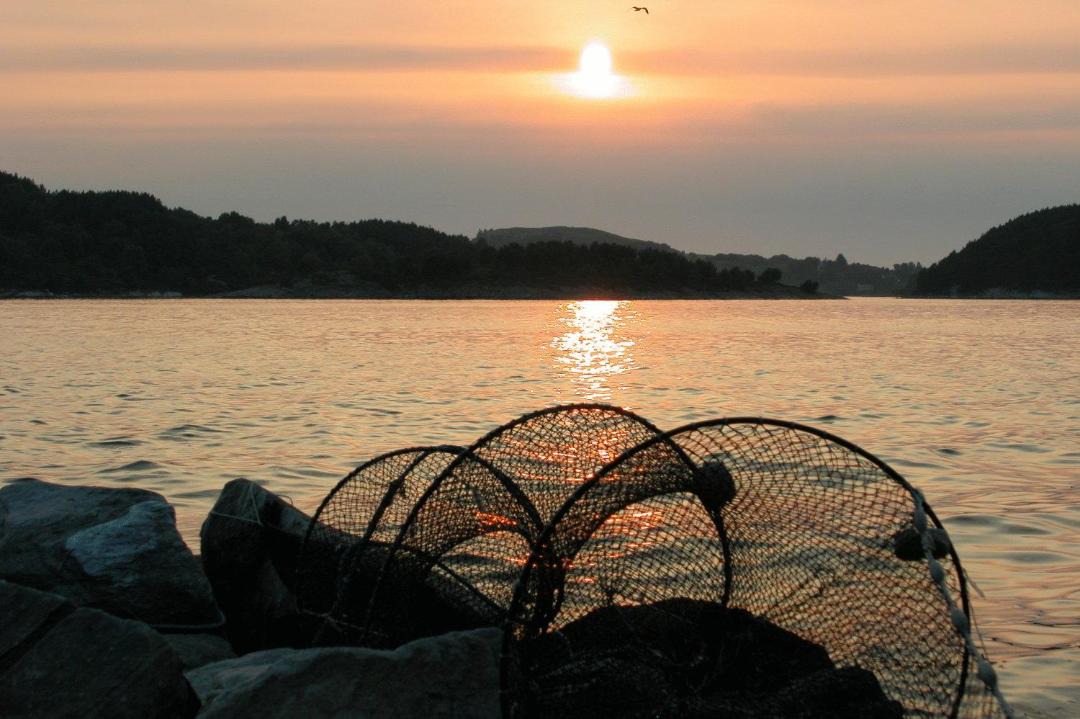 Photo of Others in Vestre Amoy