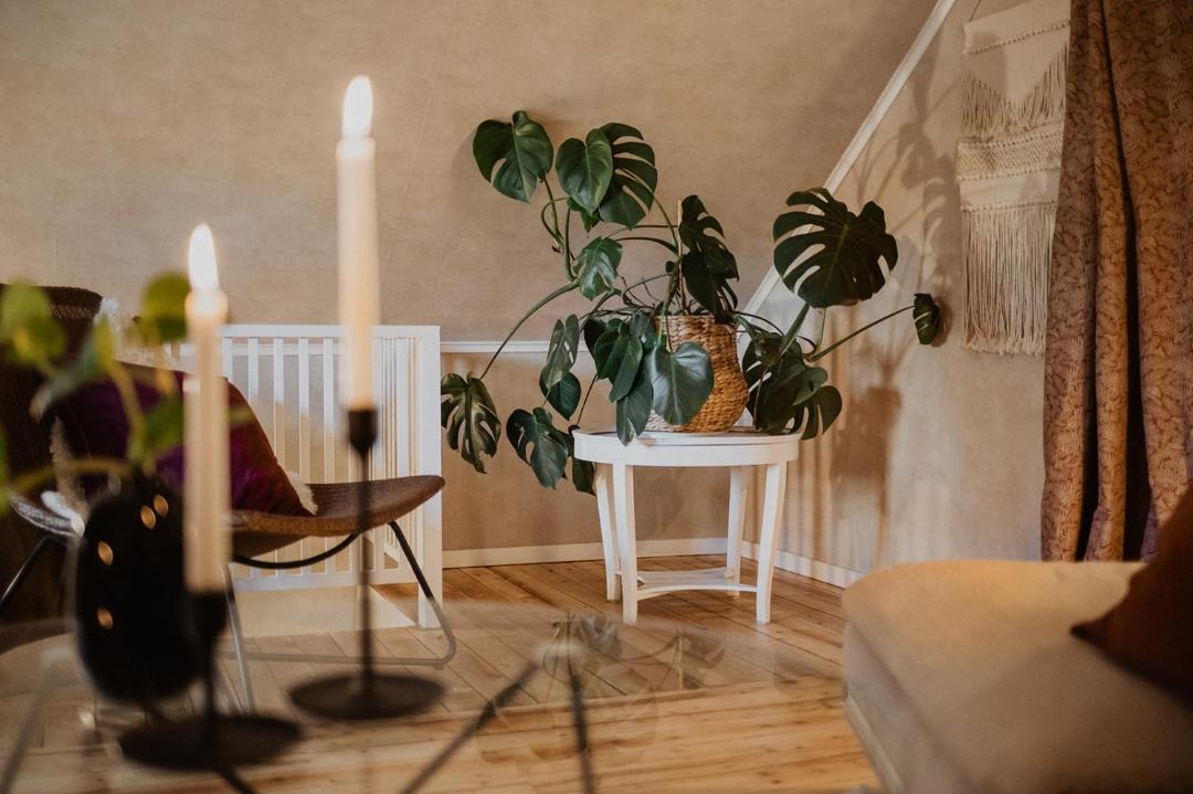 Photo of Livingroom in Faker